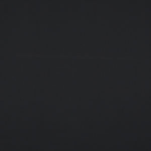 Banlight Duo FR Standard Rollers Blind - Black